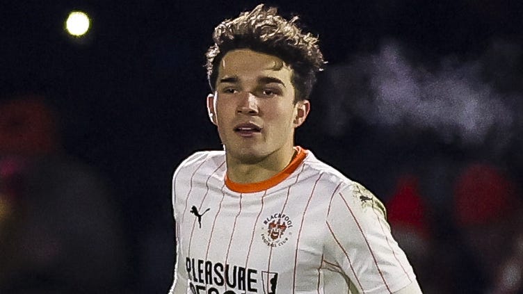 个既吸金又 个既吸金又